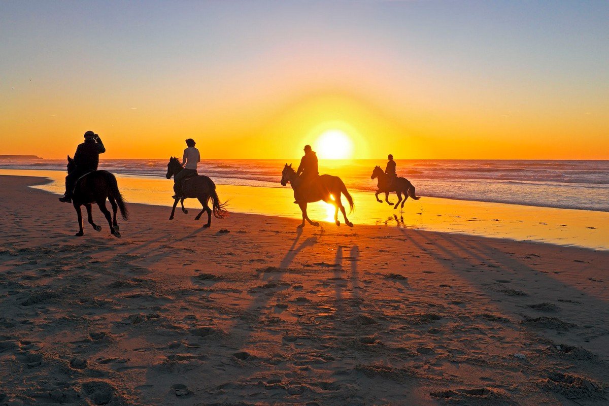 Sunset Horse Riding